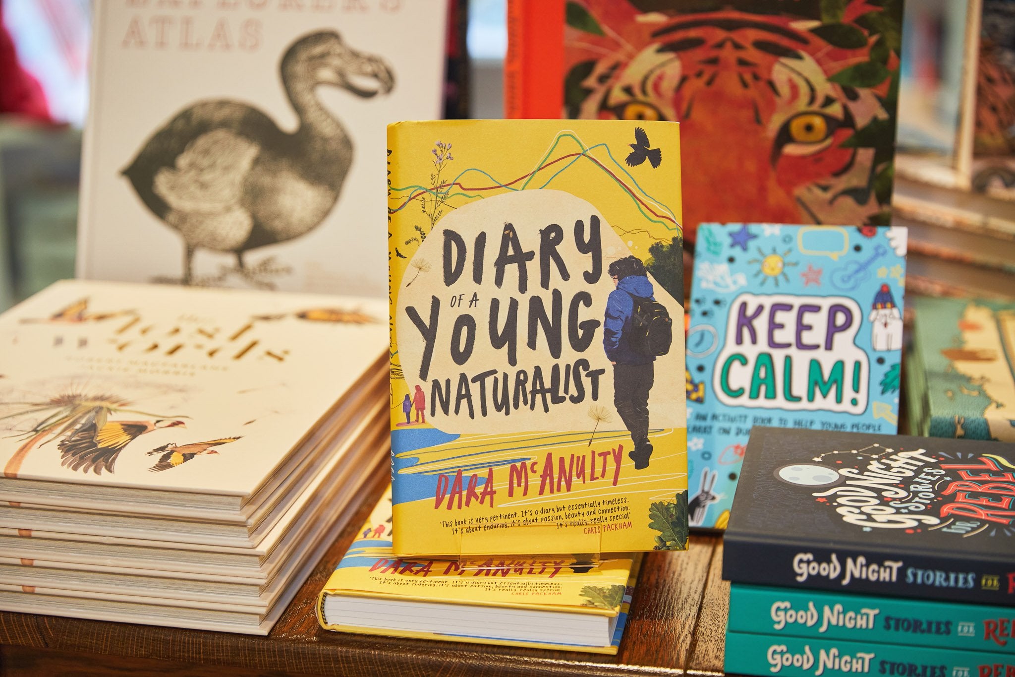 Books - Kemps recommends