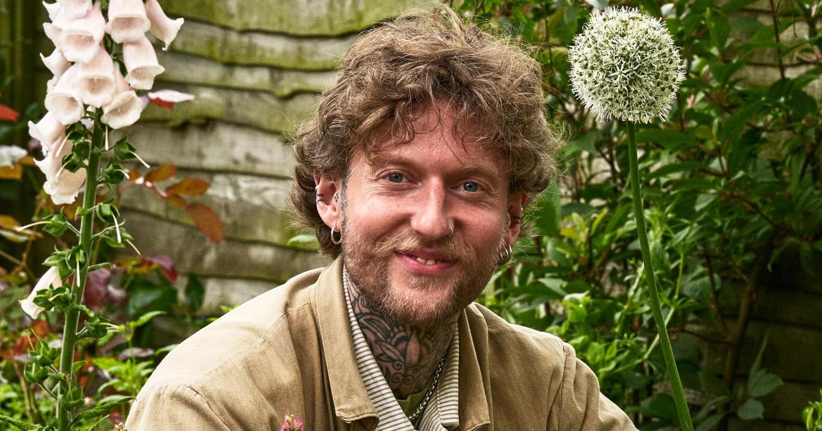 No Need to Weed : How to use the wild plants in your garden by Jamie Walton