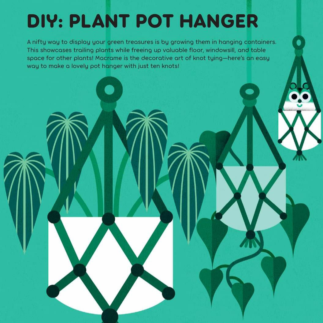 A Jungle in Your Living Room : A Guide to Creating Your Own Houseplant Collection by Michael Holland