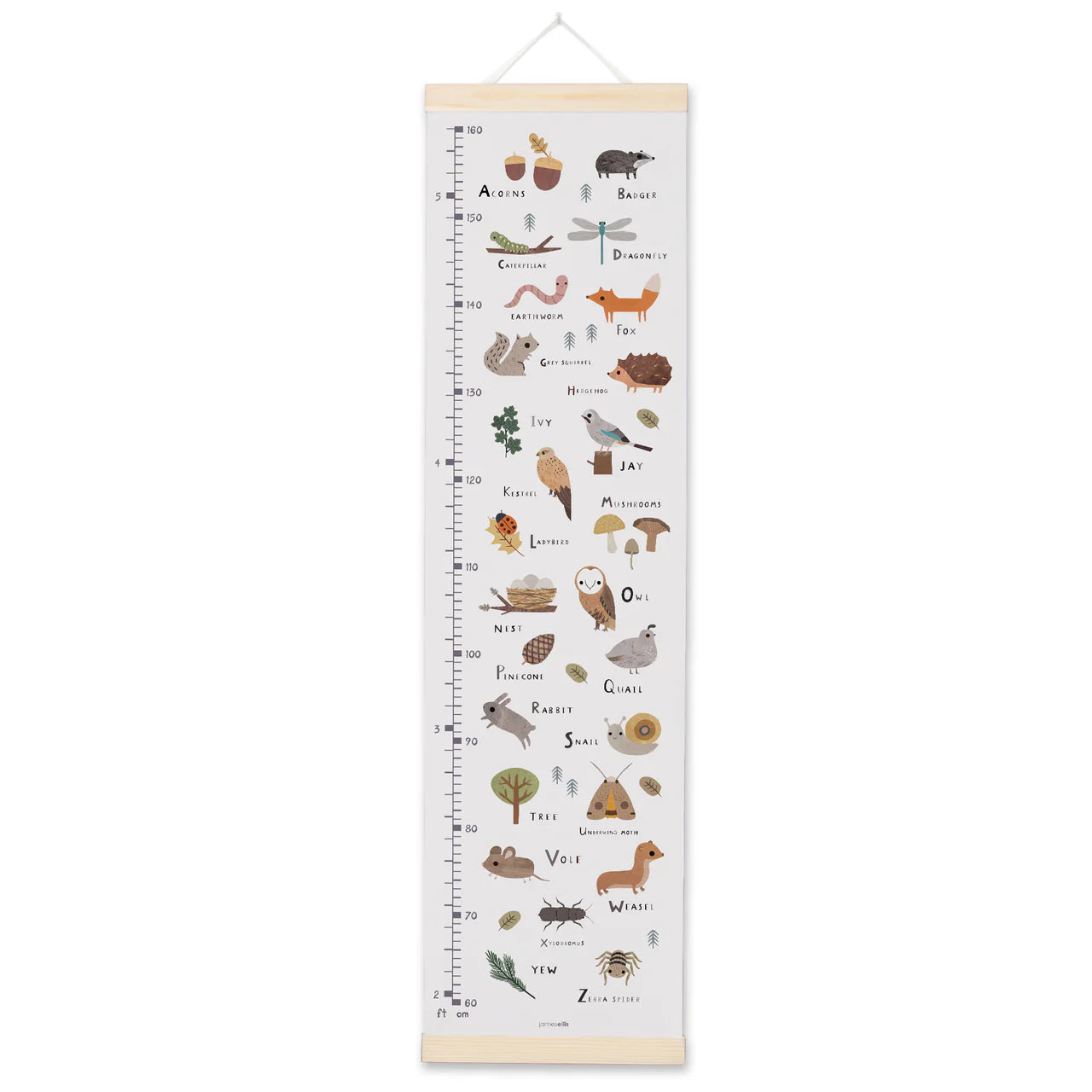 Woodland Alphabet... Height Chart