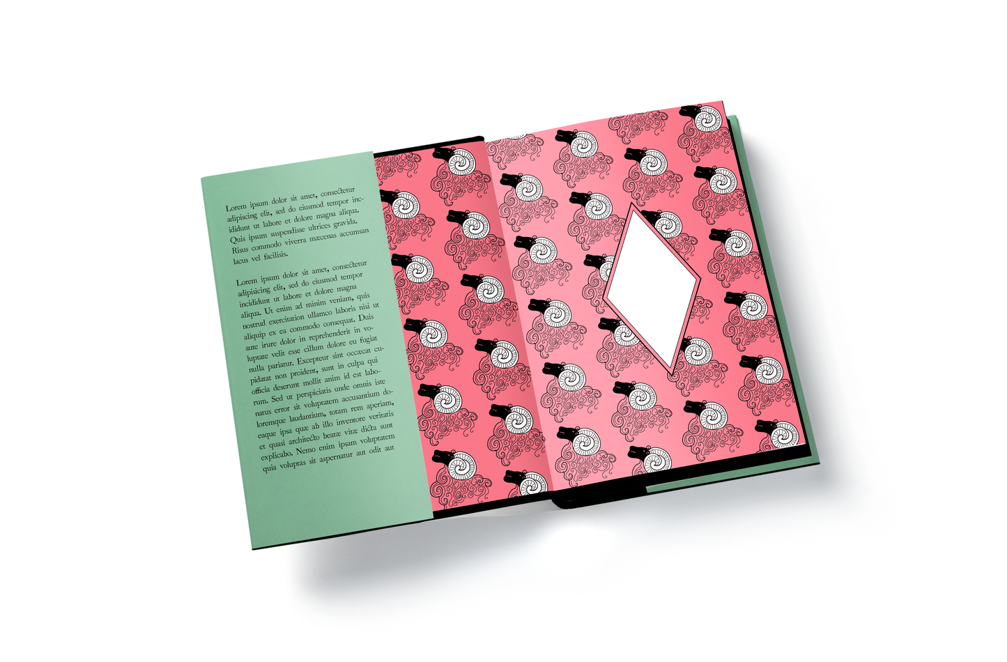 No friend to this house - by Natalie Haynes SIGNED Special edition