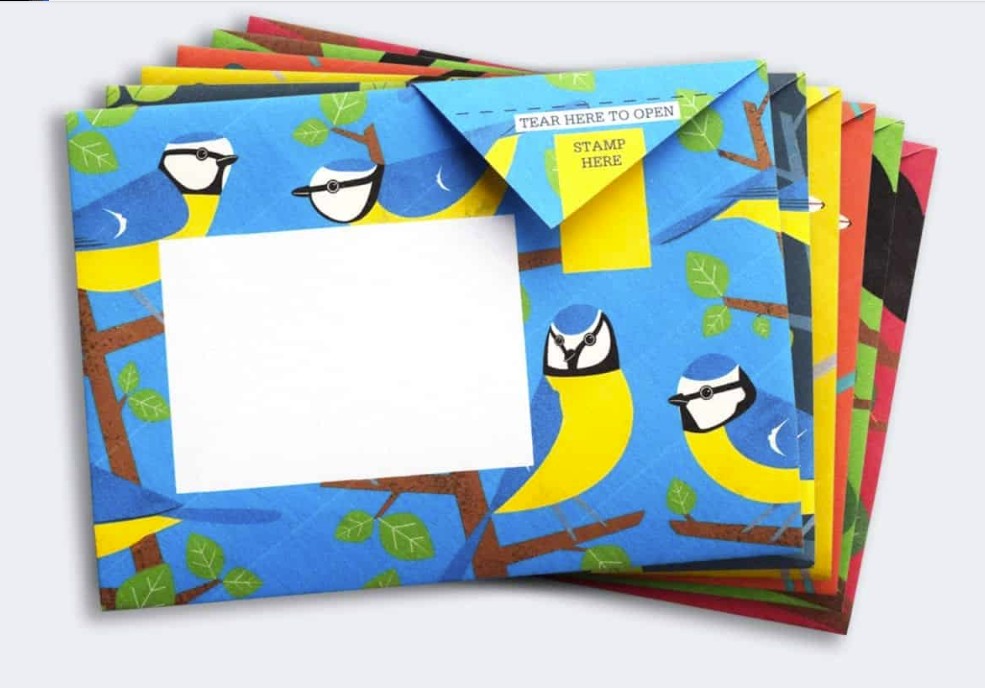 Pigeon Posted 6 Letter Envelopes - Dawn Chorus