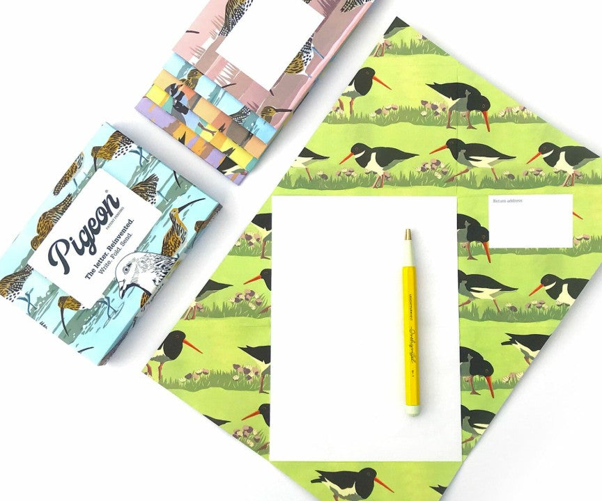 Pigeon Posted 6 Letter Envelopes - Hebridean Pigeons