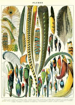 Cavallini Plumes Wrapping Paper Poster