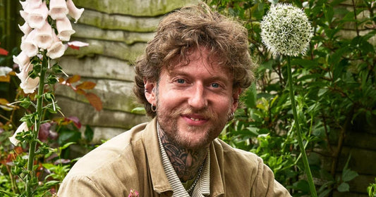 No Need to Weed : How to use the wild plants in your garden by Jamie Walton
