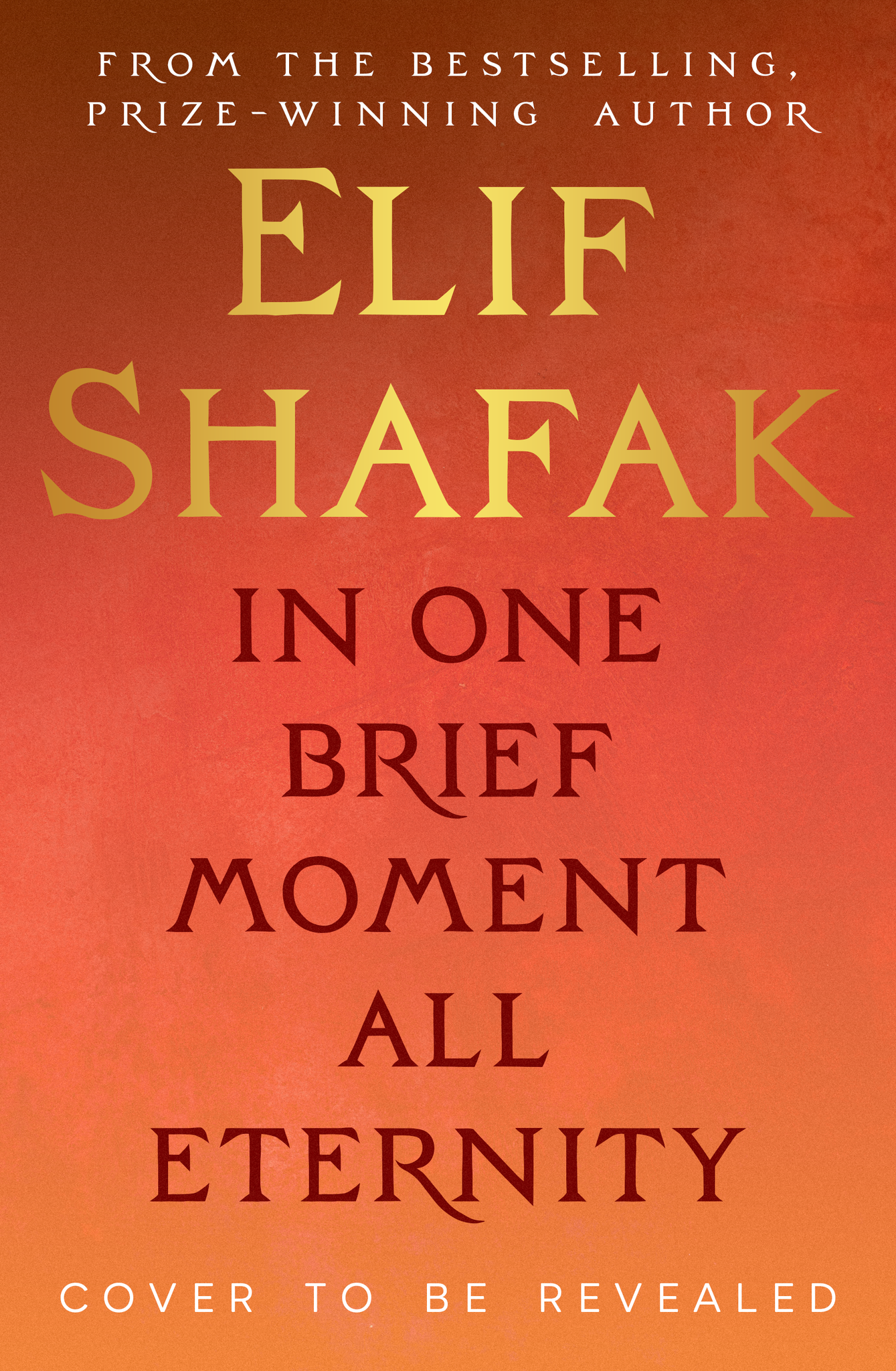 In One Brief Moment All Eternity by Elif Shafak SIGNED exclusive edition