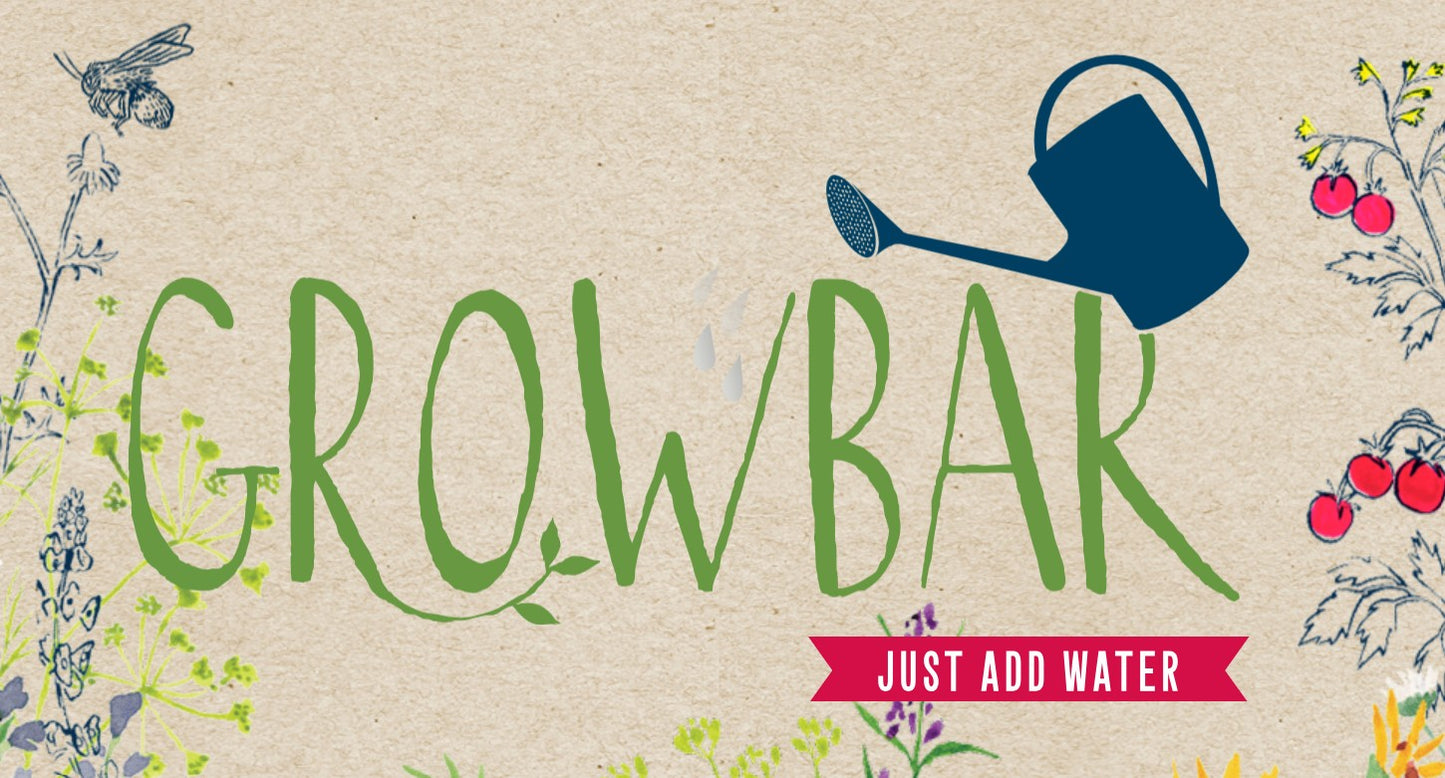 Growbar - Jane Austen's Flowers