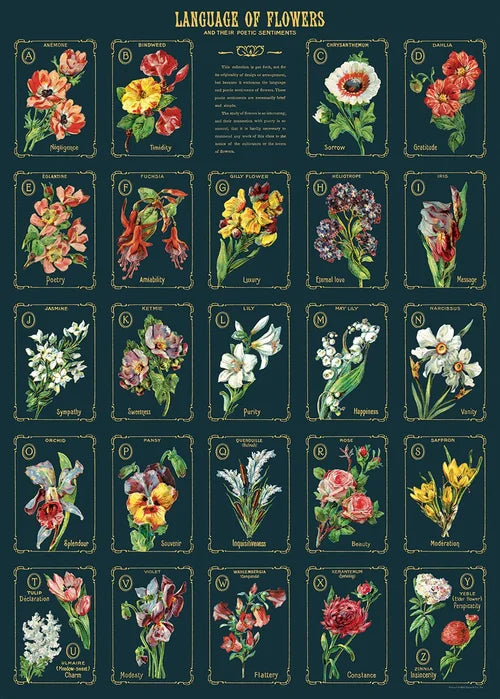 Cavallini Language of Flowers Wrapping Paper Poster