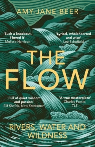 The Flow by Amy-Jane Beer (paperback) SIGNED