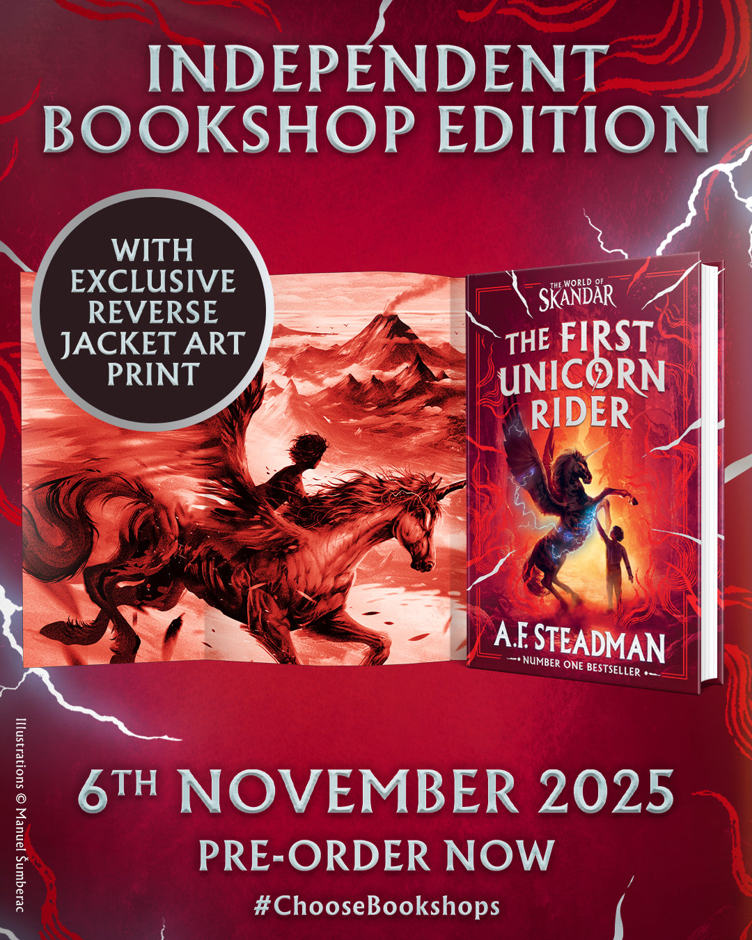 The First Unicorn Rider - new book from the World of Skandar - Indie Edition