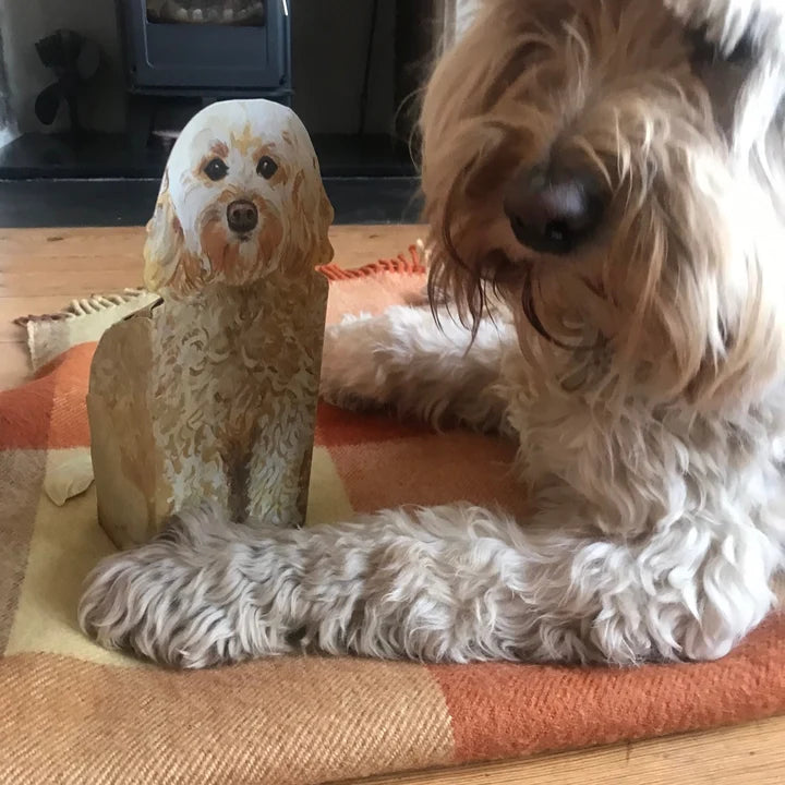 Pop Up Pet (Cockerpoo)