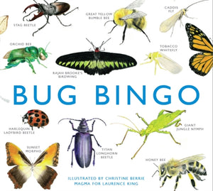 Bug Bingo-9781856699402