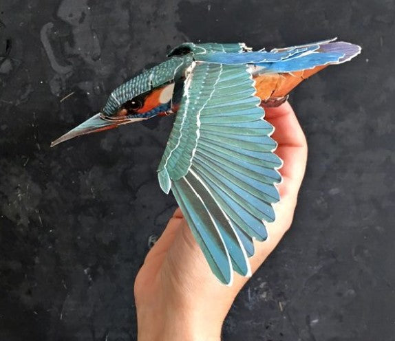 Birdmobile Kit (Kingfisher)