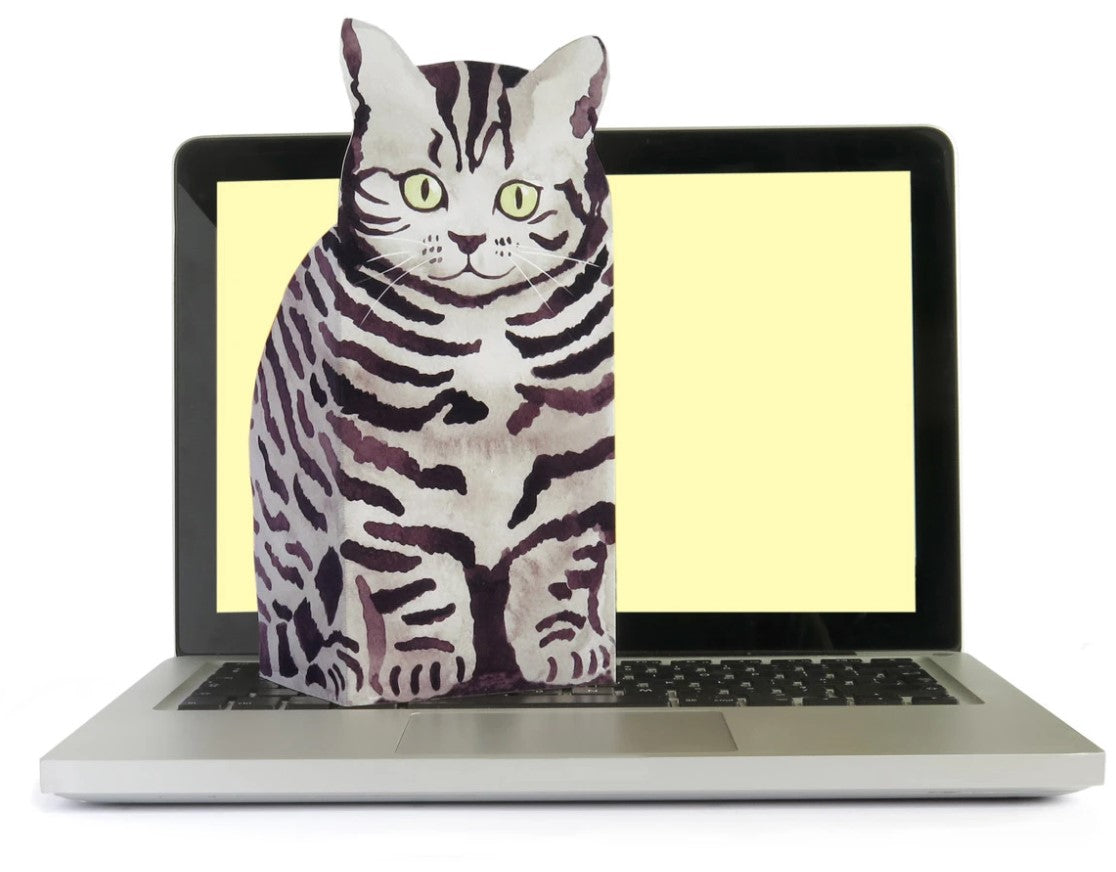 Pop Up Pet (Silver Tabby)