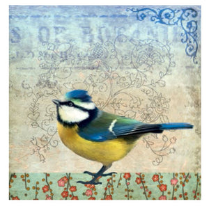 Card - Blue Tit by Fiona Watson