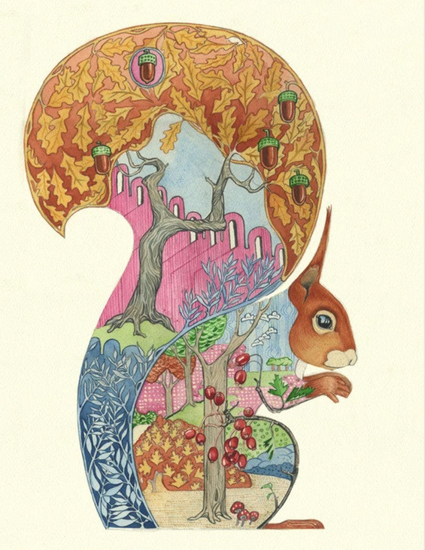 Card - Red Squirrel by Daniel Mackie