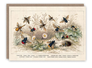 Card - Honey Bees by Pattern Book Press