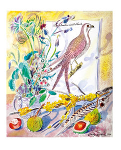 Card - Swallow Tailed Hawk by Emily Sutton