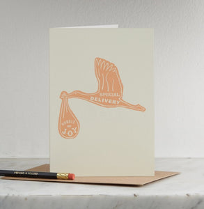 Cards Special Delivery by Pressed & Folded